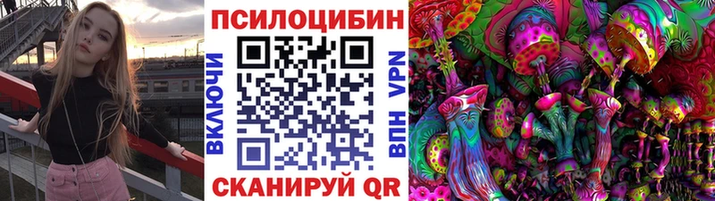наркота blacksprut сайт Псилоцибиновые грибы Magic Shrooms Ноябрьск