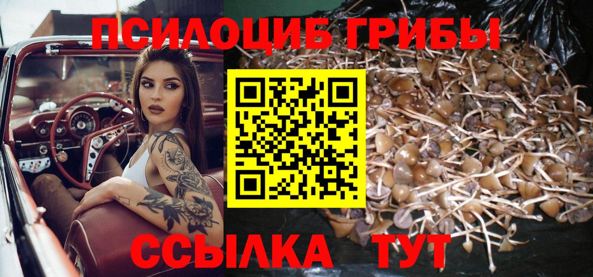 Галлюциногенные грибы мухоморы Ноябрьск