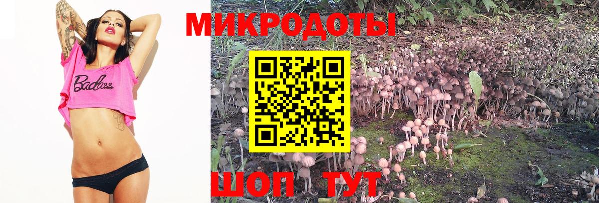 Галлюциногенные грибы мухоморы  Вход с VPN  Ноябрьск 